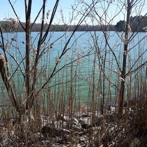 Meet your Posher, Rae